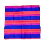 Bisexual Bandana