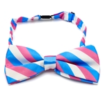 Transgender Bow tie