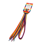 Rainbow Shoelace Pair