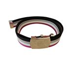 Asexual Belt