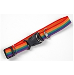  Rainbow Medium Dog Collar