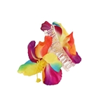 Rainbow Flower Clips