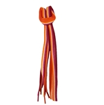 Lesbian Shoelace Pair