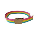 Pansexual Belt