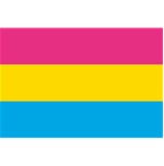 Rainbow Pansexual Flag Sticker