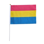 Pansexual 20 x 27 cm hand Flag
