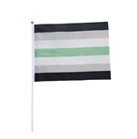 Agender 20 x 27 cm hand Flag