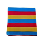 Pansxual Pride Bandana