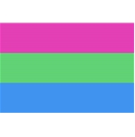 Polysexual flag 90 x 150 cm