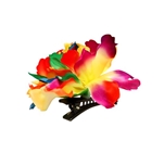 Rainbow Flower Clips