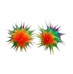 Rainbow Funky Earring