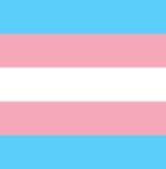 Transgender flag 80 x 110 cm