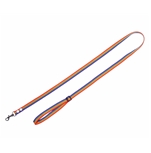 Rainbow Dog Leash Narrow