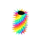 Rainbow Lighter Case