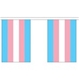 Transgender flag Bunting