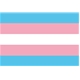 Rainbow Transgender Flag Sticker