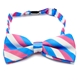 Transgender Bow tie