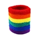 Rainbow Wristband