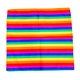 Rainbow Bandana