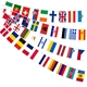 Eurovision Party Flags Bunting