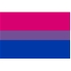 Bisexual Pride Pin
