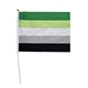 Aromantic 20 x 27 cm hand Flag