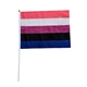 Gender Fluid 20 x 27 cm hand Flag
