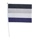 Asexual 20 x 27 cm hand Flag