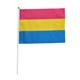 Pansexual 20 x 27 cm hand Flag