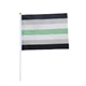 Agender 20 x 27 cm hand Flag