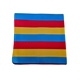 Pansxual Pride Bandana