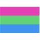 Polysexual flag 90 x 150 cm