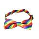 Rainbow Bow Tie