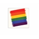Temporary Tattoo Rainbow Flag