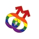 Double Male Symbols Pin