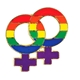 Double Female Symbols Pin