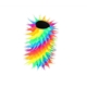 Rainbow Lighter Case